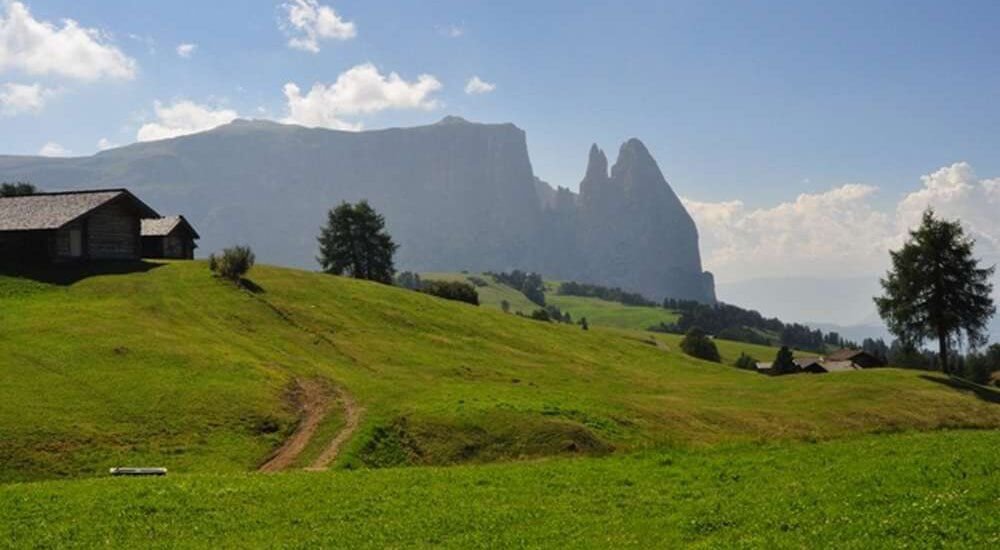 moarhof-gufidaun-klausen-suedtirol (10)