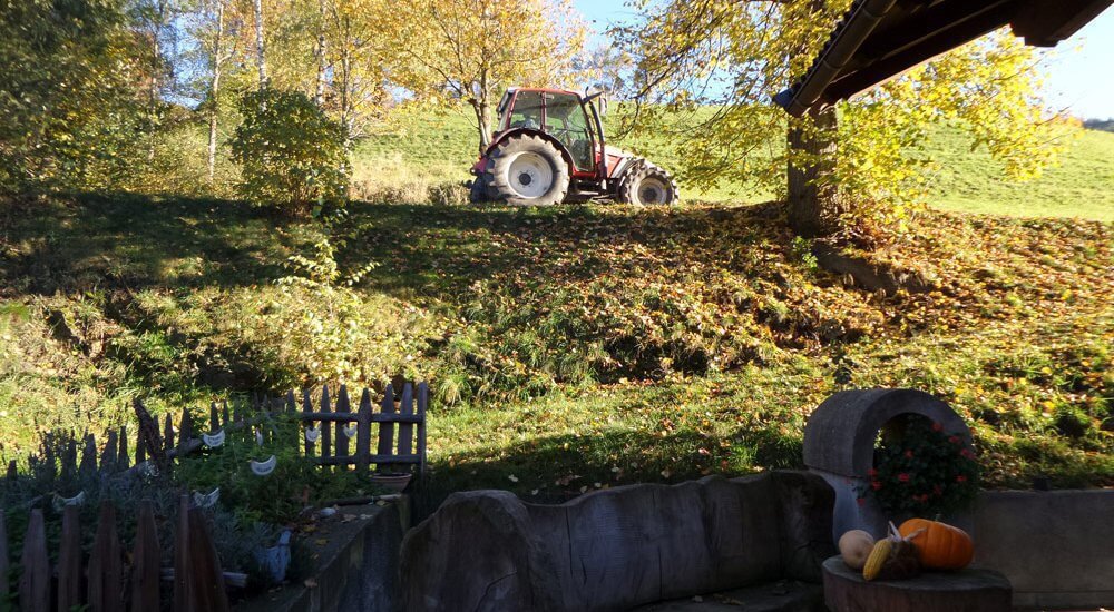 moarhof-gufidaun-klausen-suedtirol-2-(1)