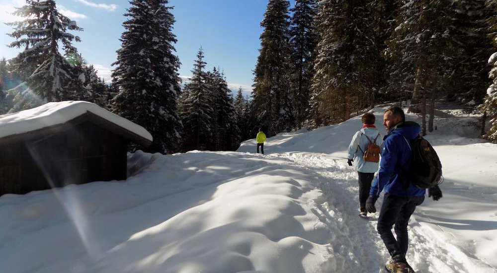 moarhof-gufidaun-klausen-suedtirol (29)