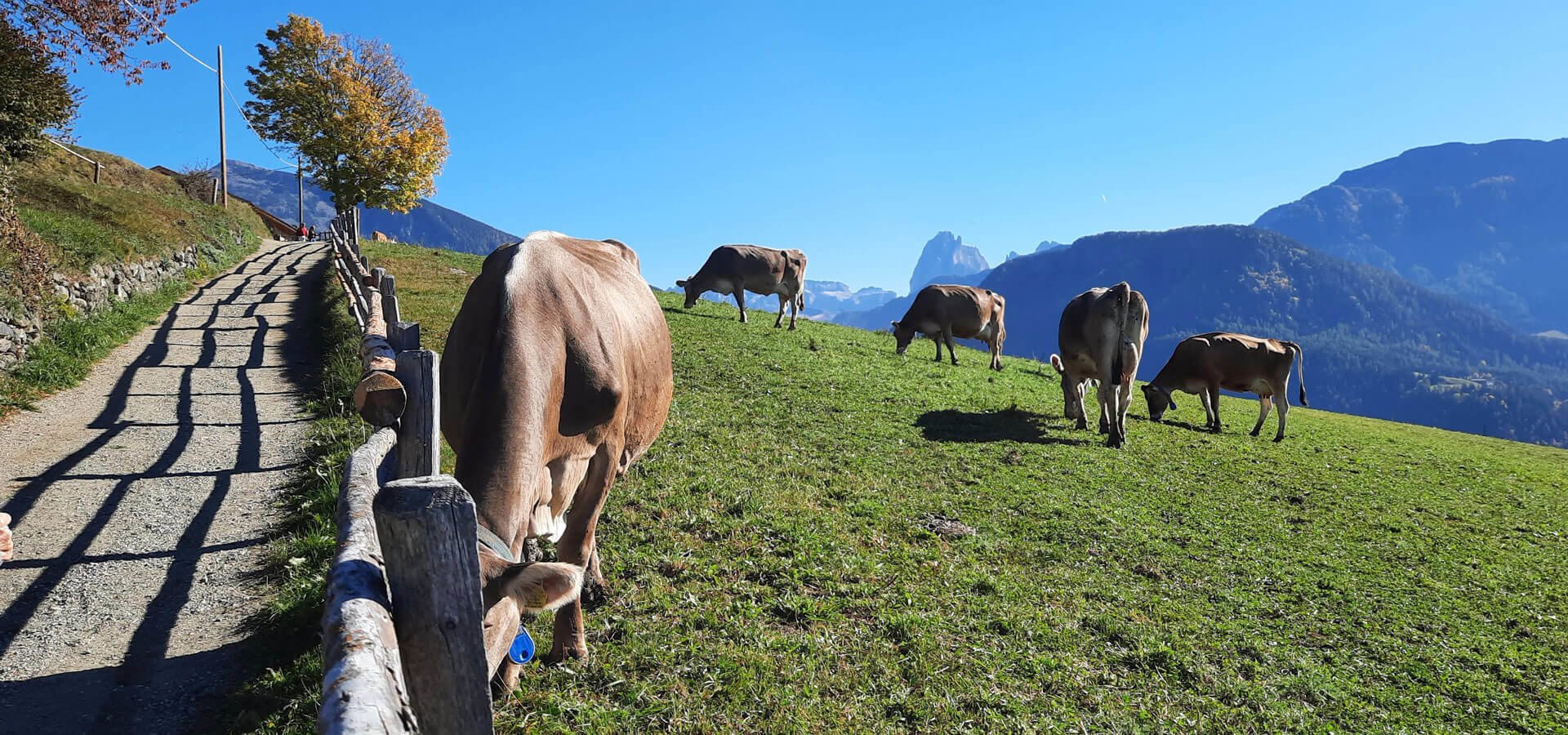 sommerurlaub-groednertal