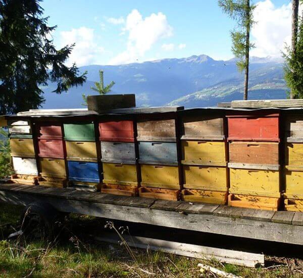 urlaub-auf-dem-bauernhof-eisacktal-suedtirol (6)